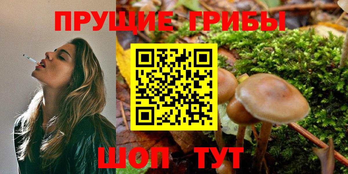 Нефтекумск  Псилоцибиновые грибы Magic Shrooms  Вход с VPN 