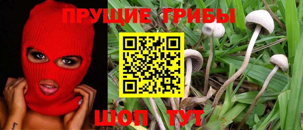 Псилоцибиновые грибы Magic Shrooms Нефтекумск